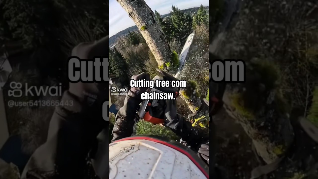 Cutting tree com chainsaw #wooddesigner #automobile #viralvideo