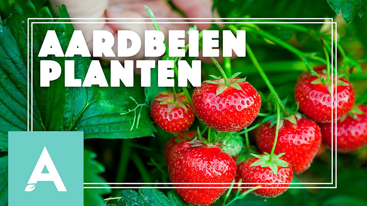 Aardbeien planten! - Grow, Cook, Eat #15