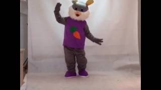 Cute Easter Bunny Rabbit Plush Adult Mascot Costume