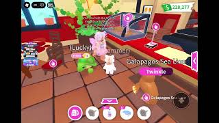 CAUGHT A SCAMMER (STORY IN DESCRIPTION)