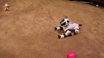 AIBO Recognition software - Japanese part 3