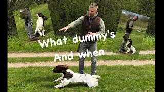 What dummy's and when to use them 'Gundog Basics Series'