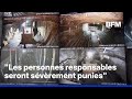 Chine: au moins 82 morts dans une explosion dans une mine de charbon