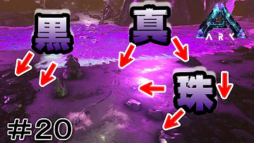 تحميل 黒真珠 Ark تحميل 黒真珠 Ark