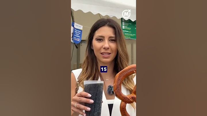Ludilo u fan zoni #minhen #navijaci #euro2024