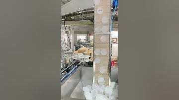 Fully automatic capping machine PET #capper machine #tennis #cap sealing machine