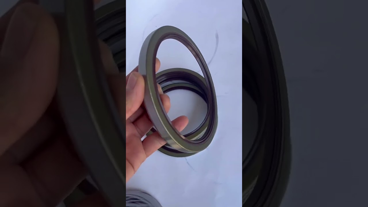 Oil Seal for Your Delong F3000 