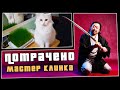 Мастер клинка | ПОТРАЧЕНО | новые приколы