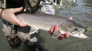 Fishing Video In Thailand, Survival Skills,The Gujarati Wanderer, Amazing Fishing Video