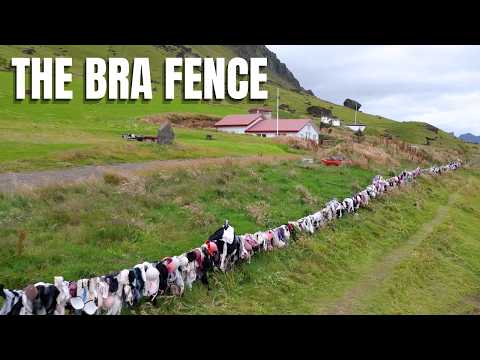 The Bra Fence In Iceland - Who Got This Weird Idea?