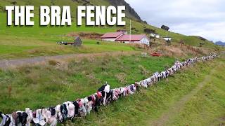 The Bra Fence In Iceland Explained @JustIcelandic