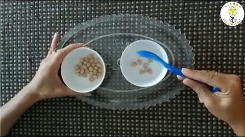 Transfer of Grains using a Spoon!