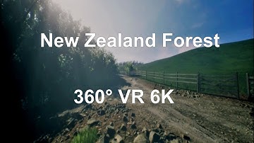 UE4 Realistic Forest