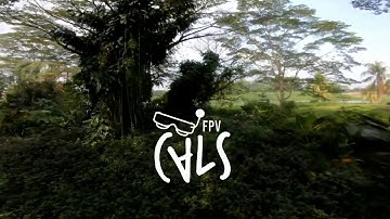 Cinewhoop Reptile Cloud 149 3 inch, A walk in the woods,