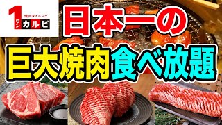 【大食い】日本一旨いと言われる焼肉食べ放題で限界まで大食い！