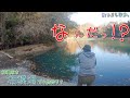 初めての相模湖は大物連発で面白かったー! 相模原市 相模湖で小物釣り?