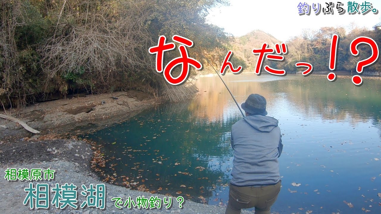 初めての相模湖は大物連発で面白かったー！ 相模原市 相模湖で小物釣り？