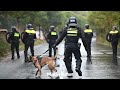 Hondengeleiders Ingezet bij Uit de Hand Gelopen Demonstratie op Malieveld 🐕🦺🚨
