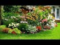 COOL IDEAS! Inspirational Backyard Landscaping