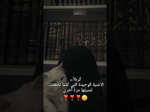 منو مثلي... 🥹🥹 #اشترك_بل_قناة_وفعلو_الجرس_ليصلكم_كل_جديد