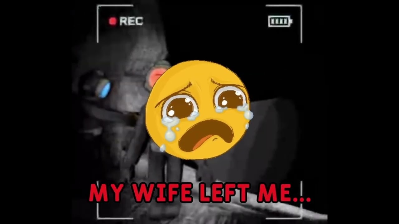The Vlog