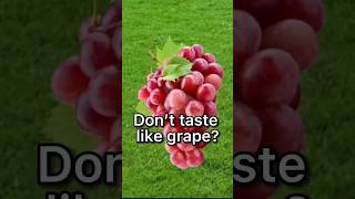 Why don't grape flavoured things taste like grape? #shortsviral #viral #shorts