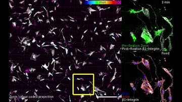 Event-driven live-to-fixed imaging with NanoJ-Fluidics