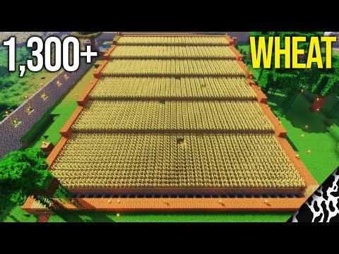 Tutorial per un *mega* frantoio automatico di grano in Minecraft 1.16+ – 1.300+ grano!!