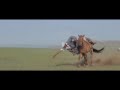 Mongolia Horse Training - Horseback culture in Mongolia
