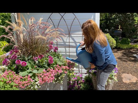 How I Fertilize Flowers And Vegetables! ???// Garden Answer