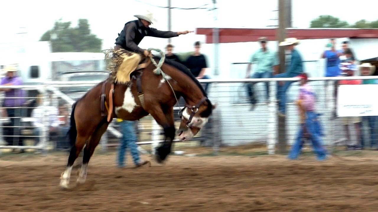 Bareback & Saddle Broncs 61st White Deer Rodeo 2019 YouTube