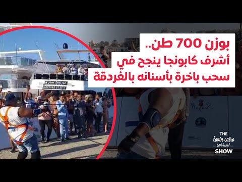 بوزن 700 طن أشرف كابونجا ينجح في سحب سفينة بأسنانه في الغردقة