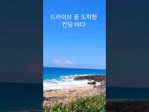 대만 드라이브 #대만#해변#여름바다