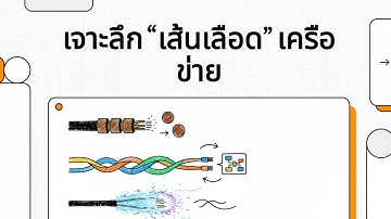 เจาะลึกเส้นเลือดเครือข่าย