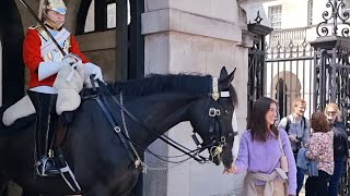 Beware: Horse Can Bite (Don't Ignore the Warning Sign) Net Worth