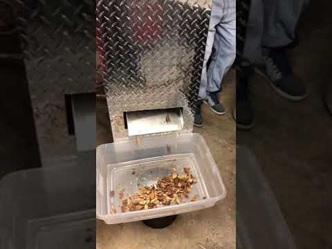 Pili Nut Cracker