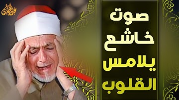 تلاوة تُشعرك بالدفء الداخلي 🌿 وتصيبك بالأمل من جديد! Inspirational Quran Voices