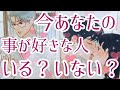 今あなた様のこと好きな人いる？いない？🤔💖イエス、ノーはっきり出させていただきました✨いませんという選択肢あります⚠️タロット占い🔮