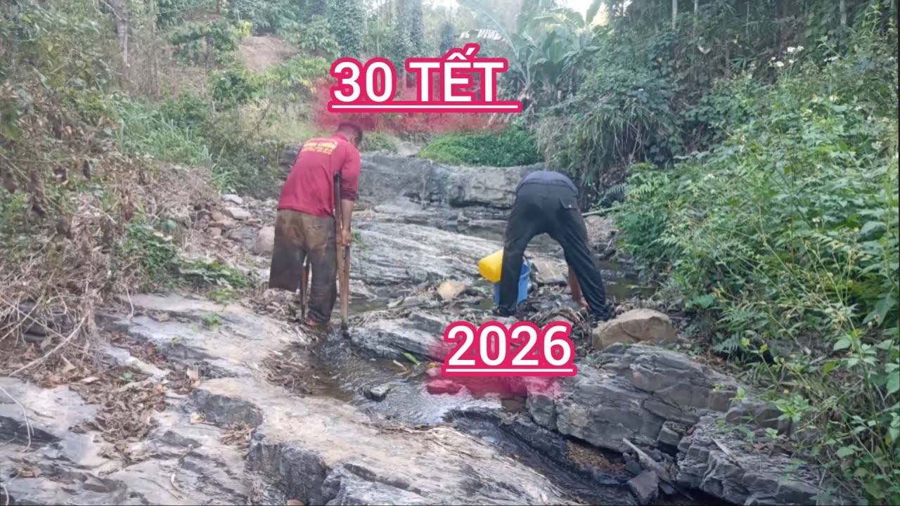 Bắt cá suối hoang,rau củ quả rừng#sinh ton