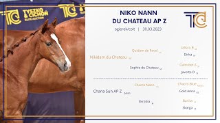 Lot No 17 Niko Nann Du Chateau Ap Z Nikidam Du Chateau X Chacco Nann, Colt, 30.03.2023