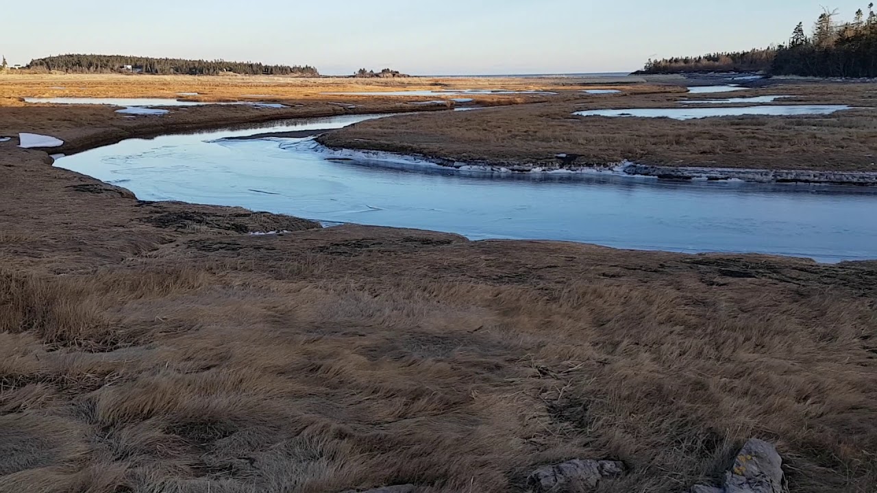 Special Spots Little Dipper Harbour, NB, Canada, slow TV meditation
