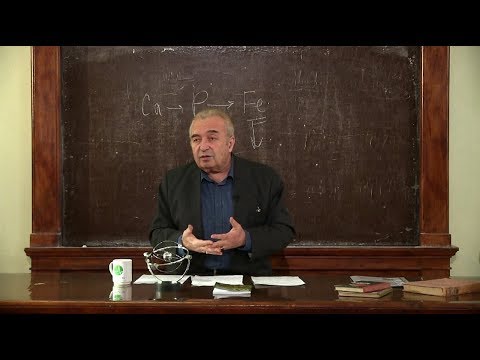 ლექტორიუმი - რამაზ გახოკიძე ნაწ. II