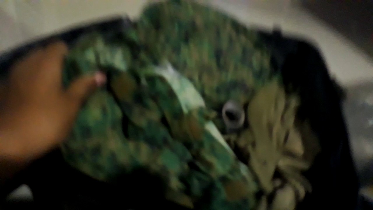 assault pack saf