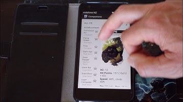 Companions for D&D 5e Application (Android).