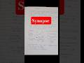 Synapse notes #bpt #mbbs #doctor #medstudent #notes #physiotherapy
