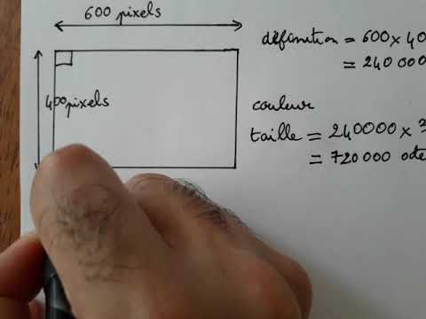 Vidéo: Comment une image est-elle numérisée ?