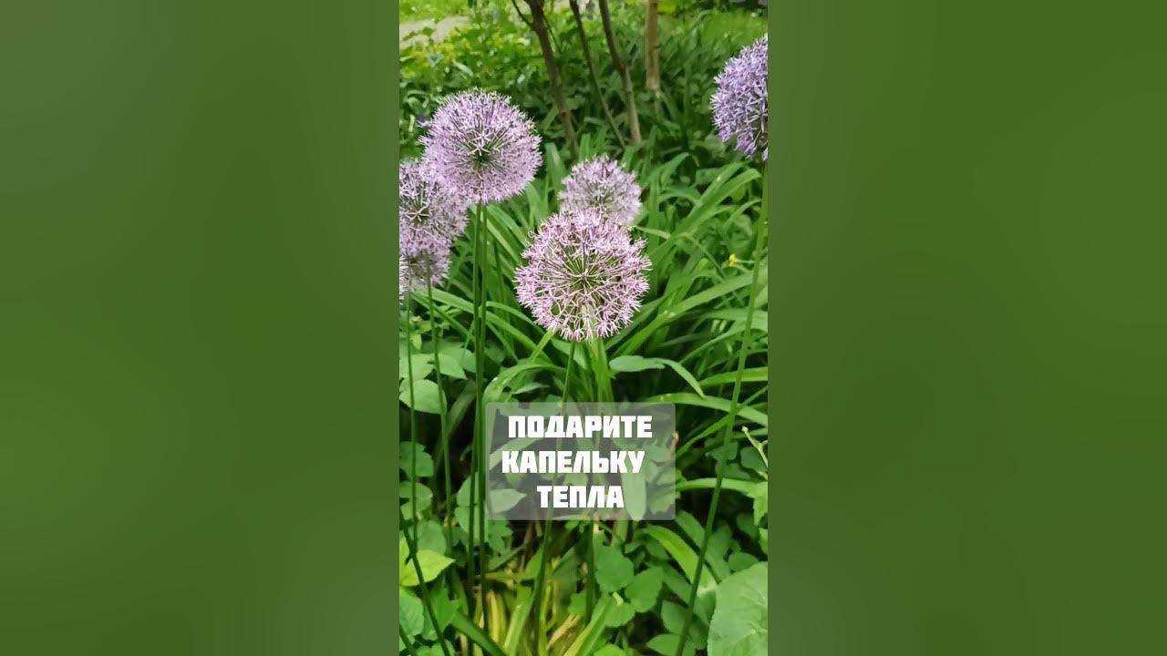 Кто сказал, что капля это мало? - YouTube