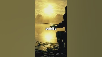 Fishing Frenzy: Catch of the Day!