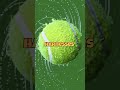 The Champion's Mind: Serena Williams' Mental Mastery