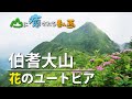 山に癒される動画　伯耆大山 花のユートピアと三鈷峰（2019年夏登山　鳥取県）